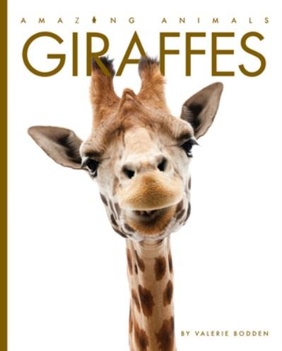 Cover for Valerie Bodden · Giraffes (Taschenbuch) (2020)