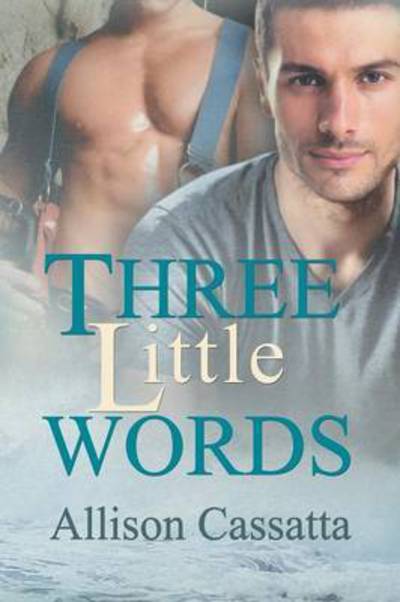 Three Little Words - Allison Cassatta - Books - Dreamspinner Press - 9781634775663 - August 26, 2016