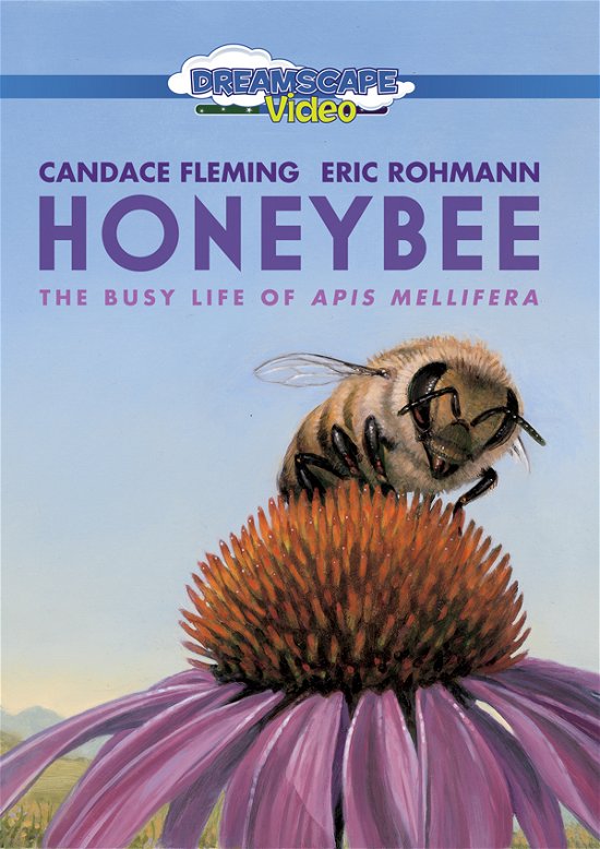 Cover for Feature Film · Honeybee: the Busy Life of Apis Mellifera (DVD) (2024)