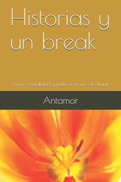 Cover for Antamor · Historias y un break (Paperback Book) (2019)