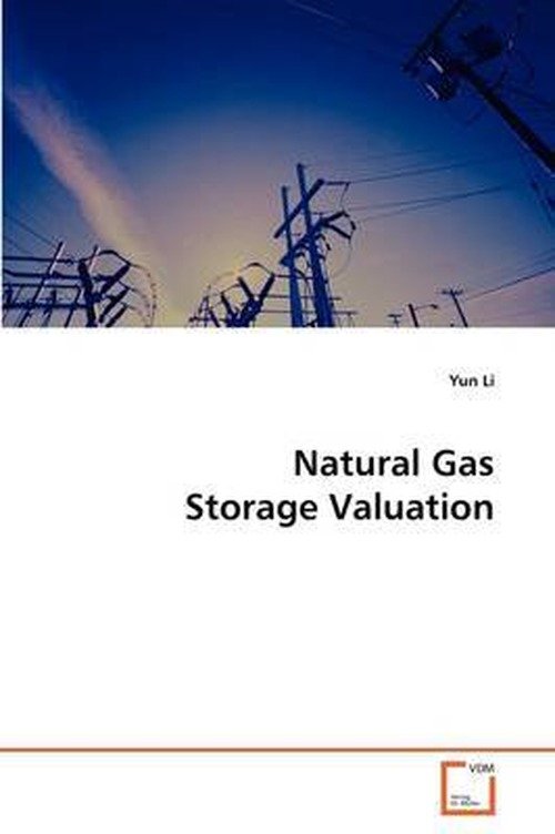 Cover for Yun Li · Natural Gas Storage Valuation (Pocketbok) (2009)