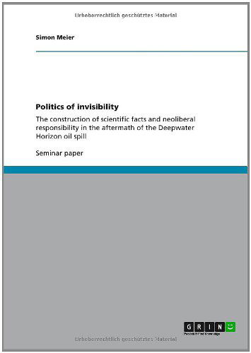 Cover for Meier · Politics of invisibility (Book) (2013)