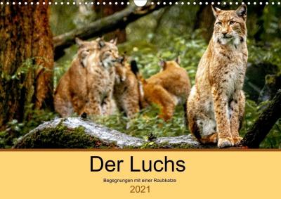 Cover for Metzger · Der Luchs - Begegnungen mit ein (Book)