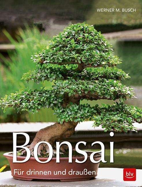 Cover for Busch · Bonsai (Book)