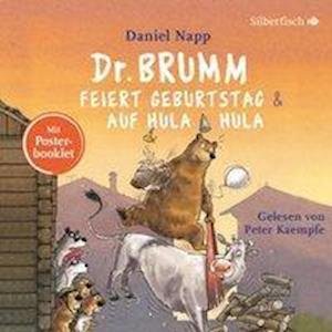 Cover for Napp · Dr. Brumm feiert Geburtstag,CD (Book)