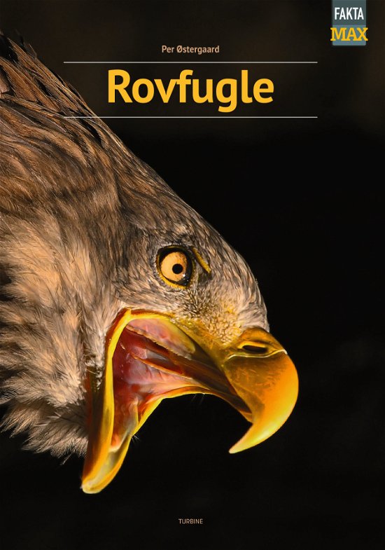 Cover for Per Østergaard · Fakta Max: Rovfugle (Hardcover bog) [1. udgave] (2023)