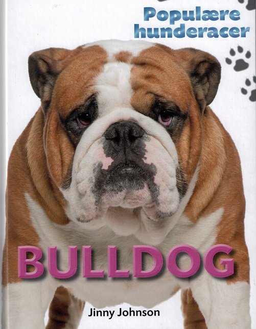 Cover for Jinny Johnson · Populære hunderacer: POPULÆRE HUNDERACER: Bulldog (Indbundet Bog) [1. udgave] (2017)