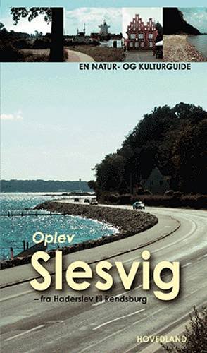 Cover for Valdemar Kappel · En natur- og kulturguide fra Hovedland: Oplev Slesvig - fra Kielerkanalen til Skamlingsbanken (Gebundesens Buch) [1. Ausgabe] [Indbundet] (2003)
