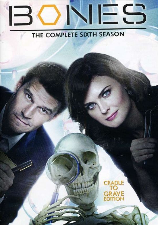 Bones: Season 6 [Edizione: Stati Uniti] - Bones: Season 6 - Films - 20th Century Fox - 0024543725664 - 11 octobre 2011