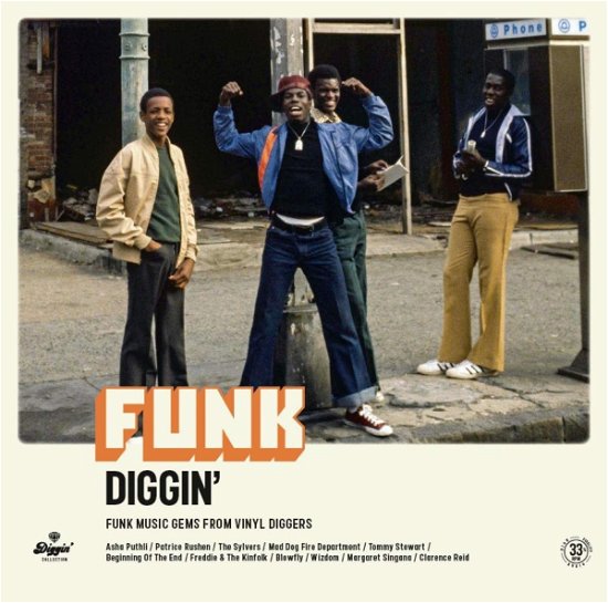 Cover for Various Artists · Funk Diggin - Funk Music Gems From Vinyl Diggers (LP) (2023)