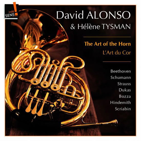 Cover for David Alonso · Die Kunst Des Horns (CD) (2014)