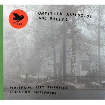 Untitled Apreggios And Pulses - Trondheim Jazz Orchestra - Musik - HUBRO - 7033662025664 - 25. Juli 2016