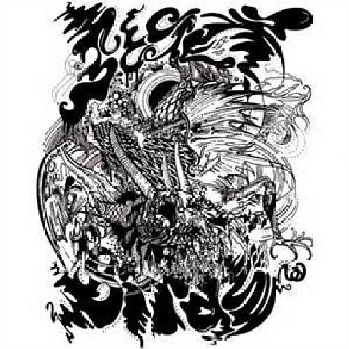 Cover for Secret Birds · Asleep on the Dragon (CD) (2009)