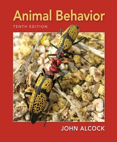 Cover for Alcock · Animal Behavior (Buch) [10th ed. 2013 edition] (2013)