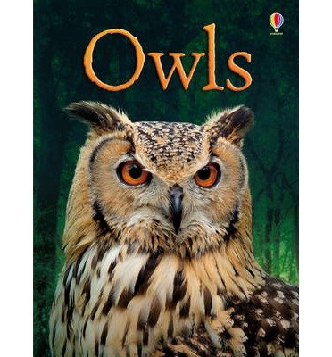 Owls - Beginners - Emily Bone - Books - Usborne Publishing Ltd - 9781409530664 - July 1, 2013