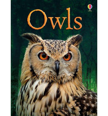 Cover for Emily Bone · Owls - Beginners (Hardcover Book) (2013)