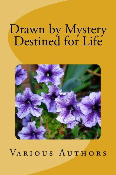 Cover for Br David Gibson · Drawn by Mystery, Destined for Life (Paperback Book) (2015)