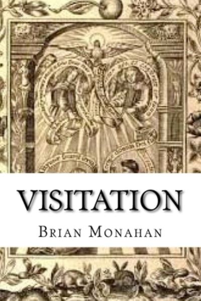 Cover for Brian J Monahan · Visitation (Pocketbok) (2017)