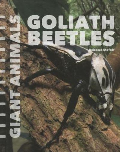 Cover for Rebecca Stefoff · Goliath Beetles (Giant Animals) (Hardcover Book) (2014)