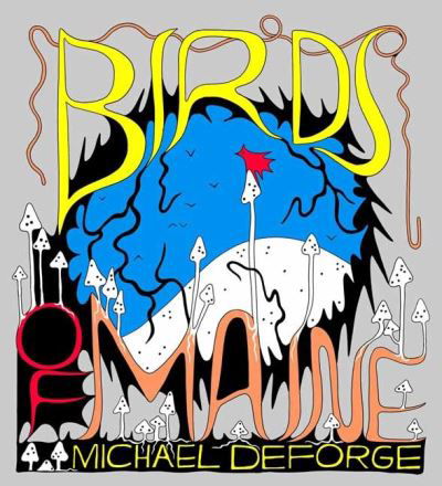 Cover for Michael DeForge · Birds of Maine (Innbunden bok) (2022)