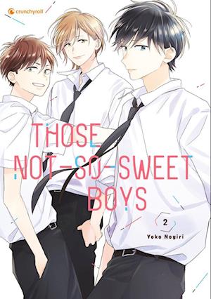 Cover for Nogiri:those Not-so-sweet Boys · Band 2 (Book)