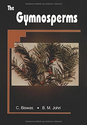 Cover for Chhaya Biswas · The Gymnosperms (Paperback Book) [1997 edition] (2014)