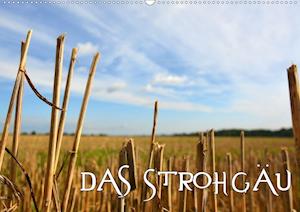 Cover for Mathias · Das Strohgäu (Wandkalender 2020 (Book)