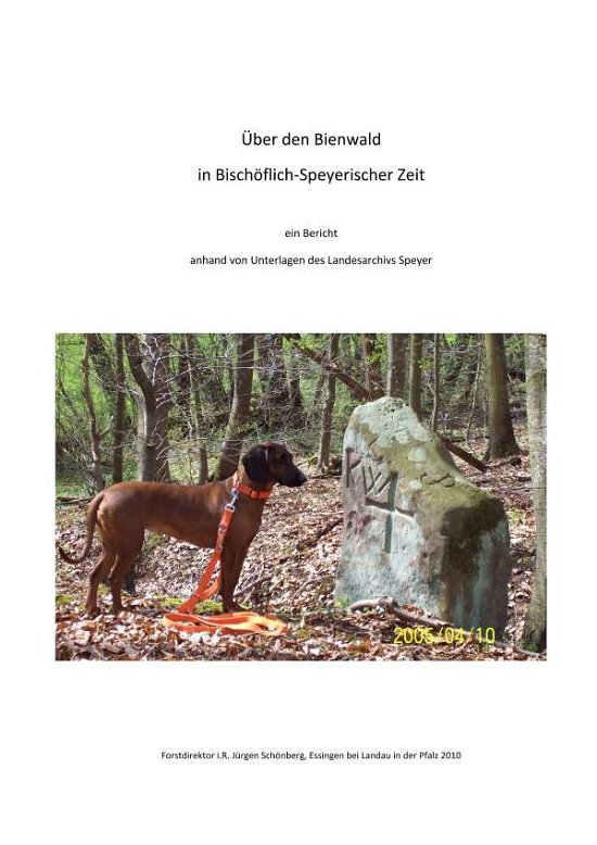 Cover for Schönberg · Über den Bienwald in Bischöfl (Book)