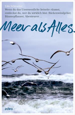 Cover for Schroeter · Meer als Alles. (Book)