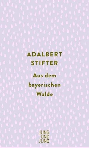 Cover for Adalbert Stifter · Aus Dem Bayrischen Walde (Bog)