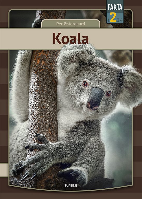 Cover for Per Østergaard · Fakta 2: Koala (Hardcover Book) [1th edição] (2021)