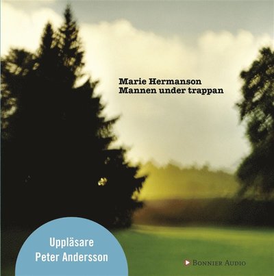 Cover for Marie Hermanson · Mannen under trappan (Audiobook (MP3)) (2010)