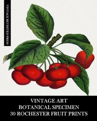 Cover for Vintage Revisited Press · Vintage Art: Botanical Specimen: 30 Rochester Fruit Prints: Pomology Ephemera for Framing, Decor and Reference (Taschenbuch) (2024)