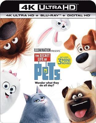 Cover for Secret Life of Pets (4K Ultra HD) (2016)