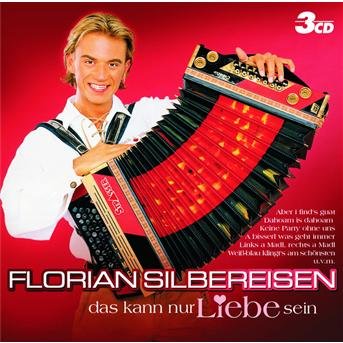Cover for Florian Silbereisen · Das Kann Nur Liebe Sein (CD) (2004)