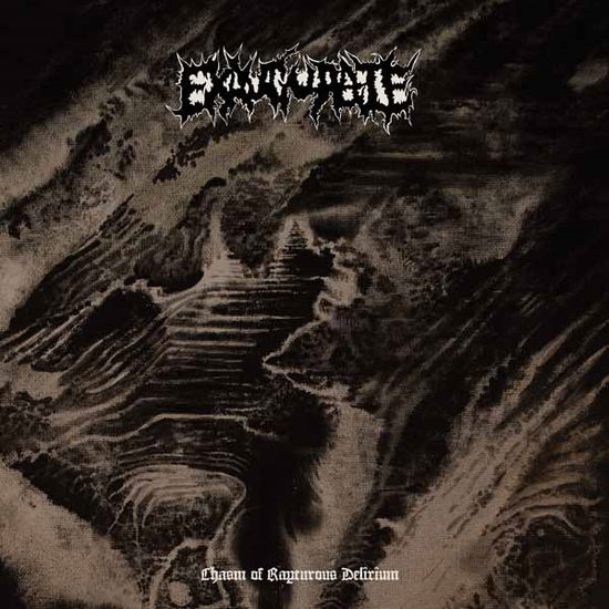 Cover for Exaugurate · Chasm Of Rapturous Delirium (LP) (2020)