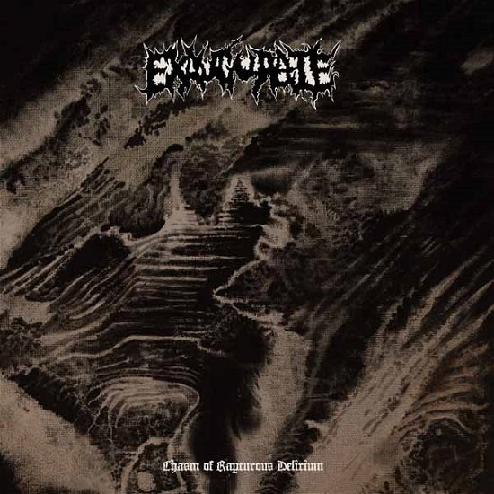 Cover for Exaugurate · Chasm of Rapturous Delirium (LP) (2020)