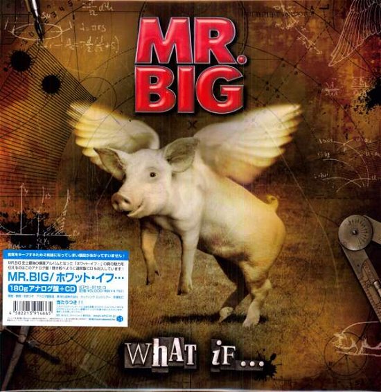 Cover for Mr. Big · What If (LP) (2011)