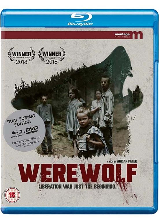 Cover for WEREWOLF Montage Pictures Dual Format Bluray  DVD · Werewolf Blu-Ray + (Blu-ray) (2019)