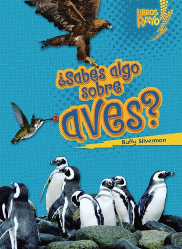 Cover for Buffy Silverman · ..sabes Algo Sobre Aves?/ Do You Know About Birds? (Libros Rayo - Conoce Los Grupos De Animales /lightning Bolt Books T - Meet the Animal Groups)) (Paperback Book) [Spanish edition] (2012)