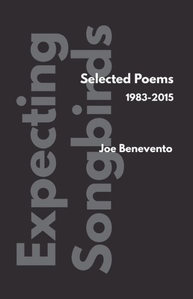 Cover for Joe Benevento · Expecting Songbirds (Paperback Book) (2015)