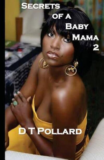 Cover for D T Pollard · Secrets of a Baby Mama 2 (Paperback Bog) (2016)