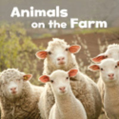 Cover for Lisa J. Amstutz · Animals on the Farm (Innbunden bok) (2019)