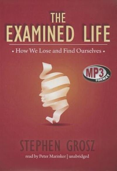 Cover for Stephen Grosz · The Examined Life How We Lose and Find Ourselves (MP3-CD) (2013)