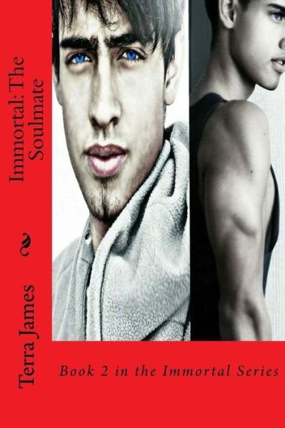 Cover for Terra James · Immortal: the Soulmate: Book 2 in the Immortal Series (Paperback Book) (2015)