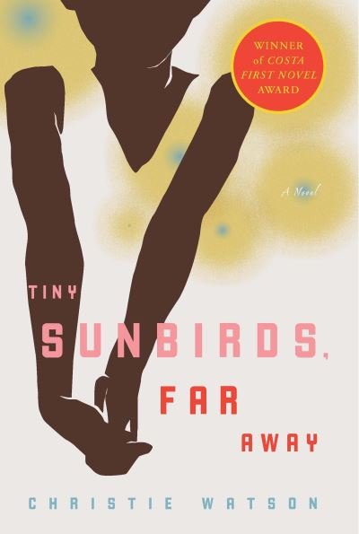 Cover for Christie Watson · Tiny Sunbirds, Far Away (Paperback Book) (2011)