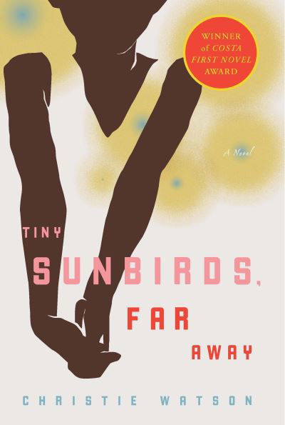 Cover for Christie Watson · Tiny Sunbirds, Far Away (Pocketbok) (2011)