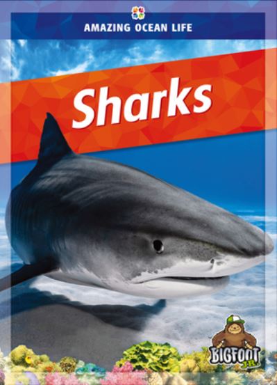 Cover for Colleen Sexton · Sharks (Book) (2023)