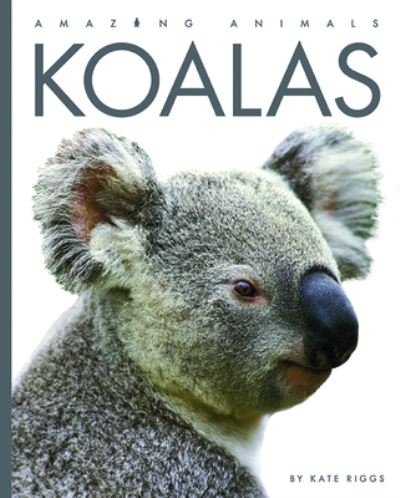 Koalas - Valerie Bodden - Bøger - Creative Company, The - 9781682770665 - 11. januar 2022