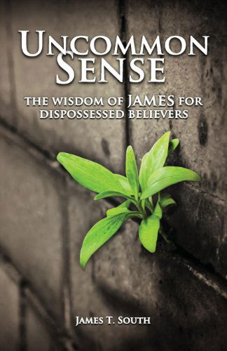 Cover for James T South · Uncommon Sense: The Wisdom of James for Dispossessed Believers (Paperback Book) (2014)